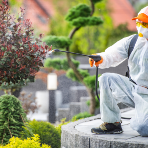 Benefits of Pest Control