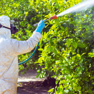 The Importance of Pest Control in Agriculture